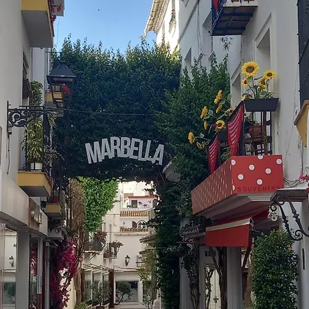 Precioso Y Acogedor Atico Old Town