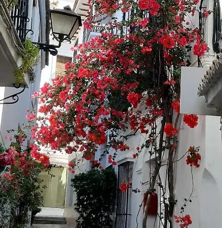 Precioso Y Acogedor Atico Old Town 아파트 마르베야