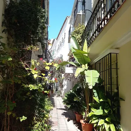 Precioso Y Acogedor Atico Old Town *