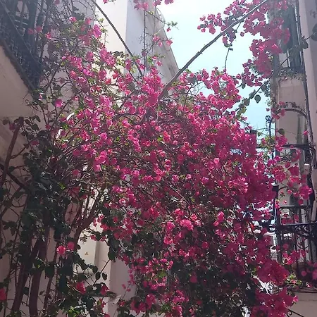 Precioso Y Acogedor Atico Old Town * Marbella