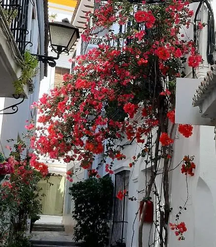 Precioso Y Acogedor Atico Old Town Apartment Marbella