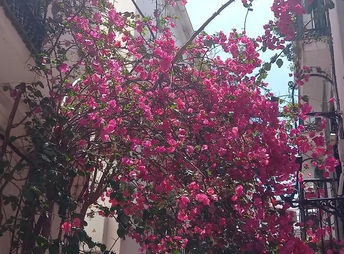 Precioso Y Acogedor Atico Old Town * Marbella