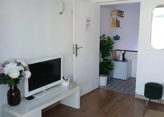 Precioso Y Acogedor Atico Old Town Apartment Marbella
